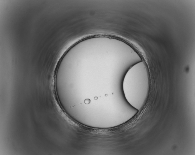 X0000100421287200806060940