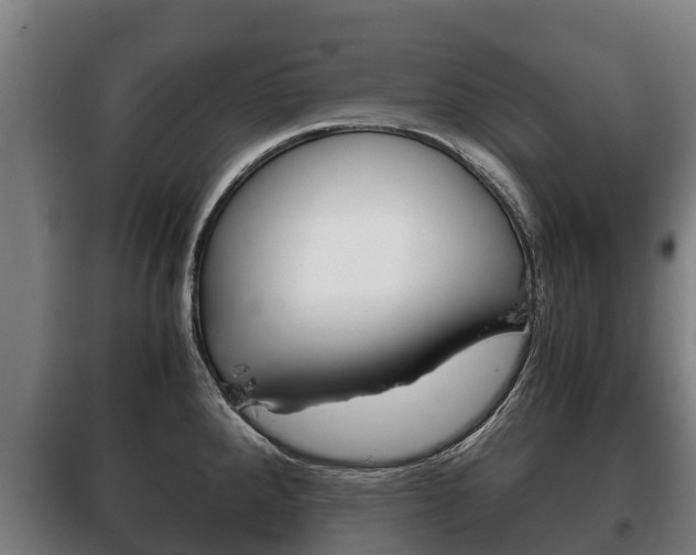X0000100421288200806060940