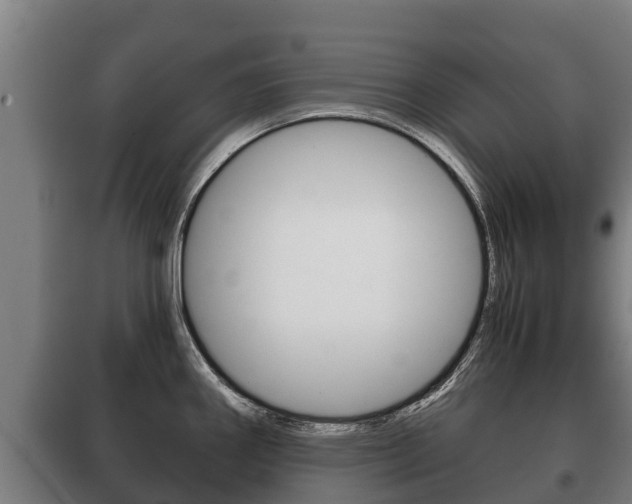 X0000100421290200806060939
