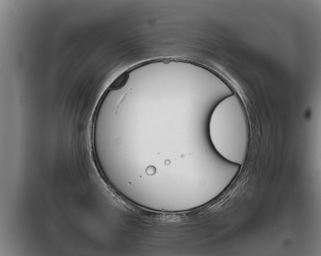 X0000100421291200806060939