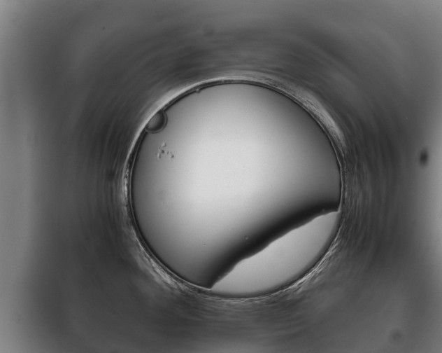 X0000100421292200806060939
