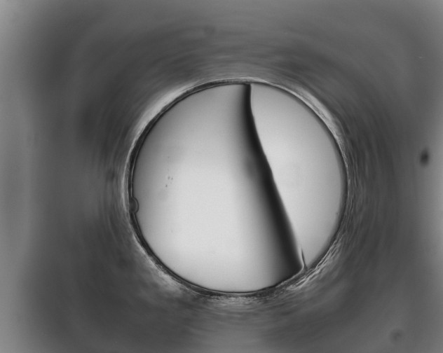 X0000100421293200806060939