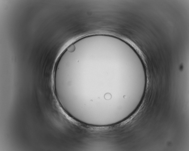 X0000100421294200806060939