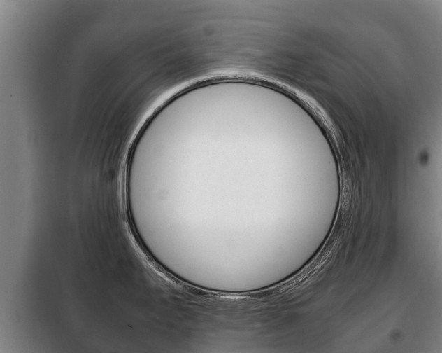 X0000100421295200806060939