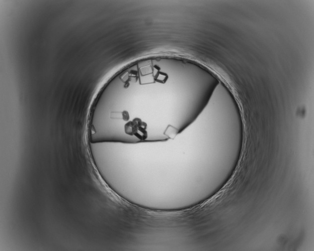 X0000100421296200806060939