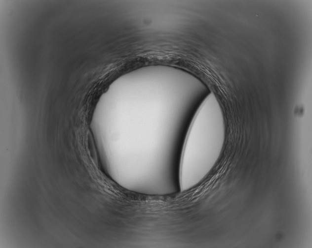 X0000100421297200806060939