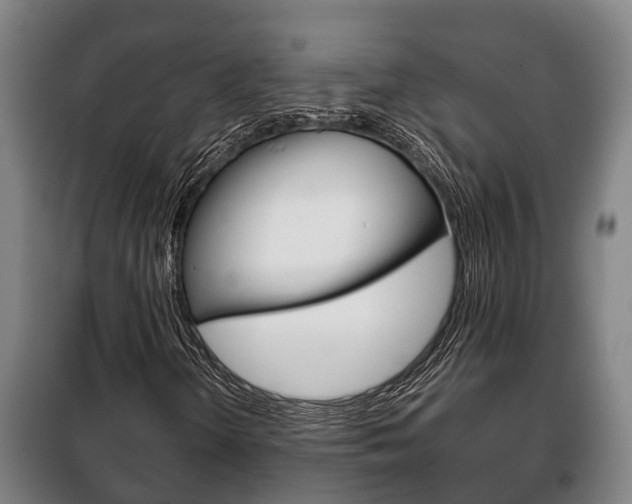 X0000100421298200806060939