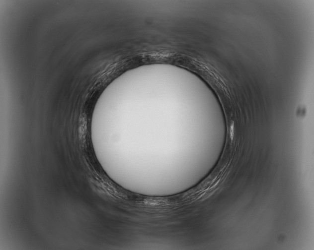 X0000100421299200806060939