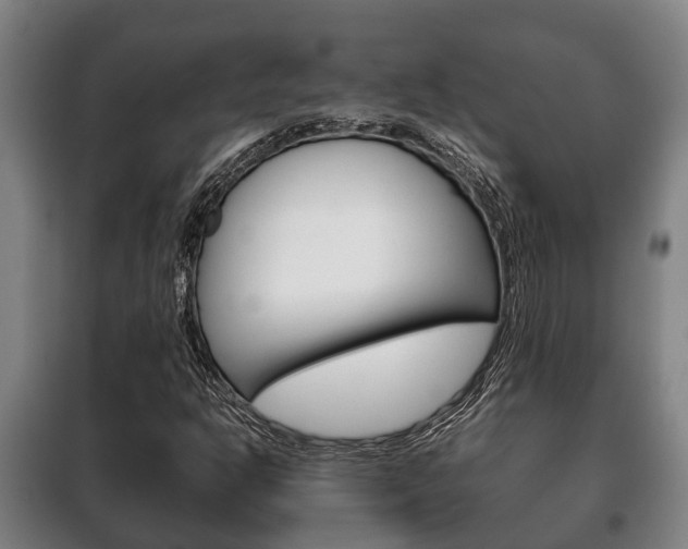 X0000100421302200806060939