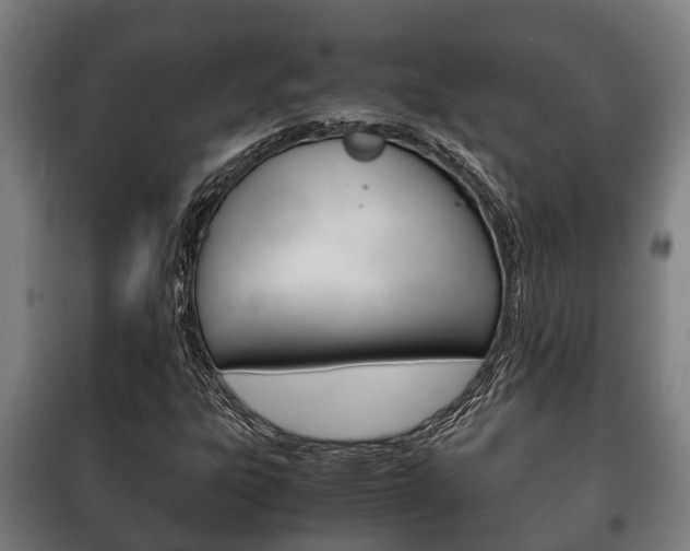 X0000100421303200806060939