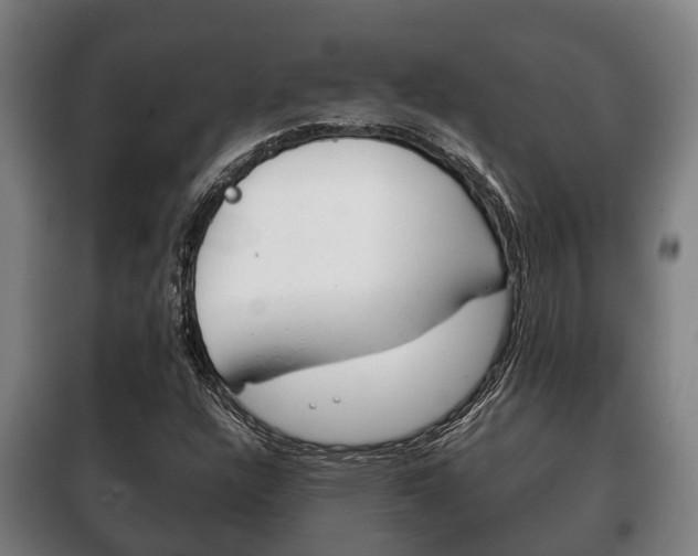 X0000100421304200806060939