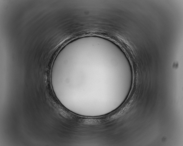 X0000100421305200806060939