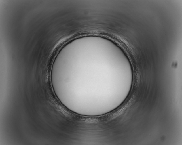 X0000100421306200806060939