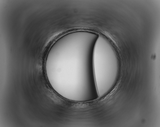 X0000100421307200806060939