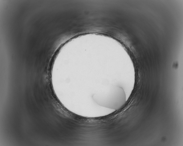 X0000100421308200806060939