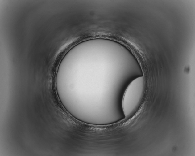 X0000100421309200806060939