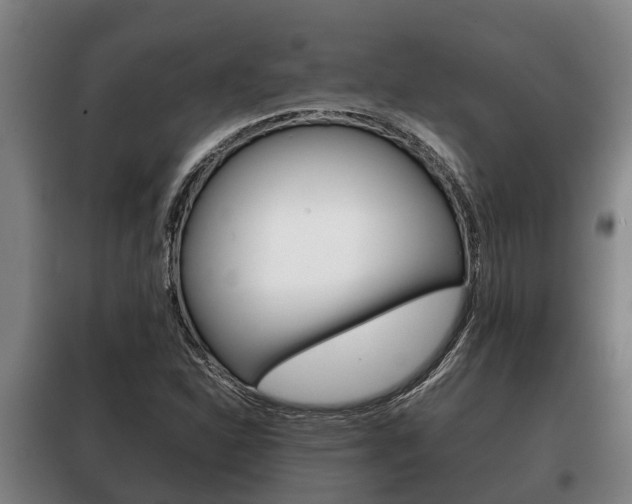 X0000100421310200806060939