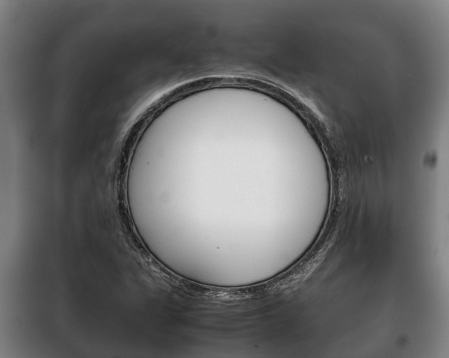 X0000100421311200806060939