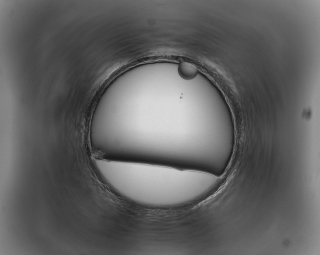 X0000100421313200806060939