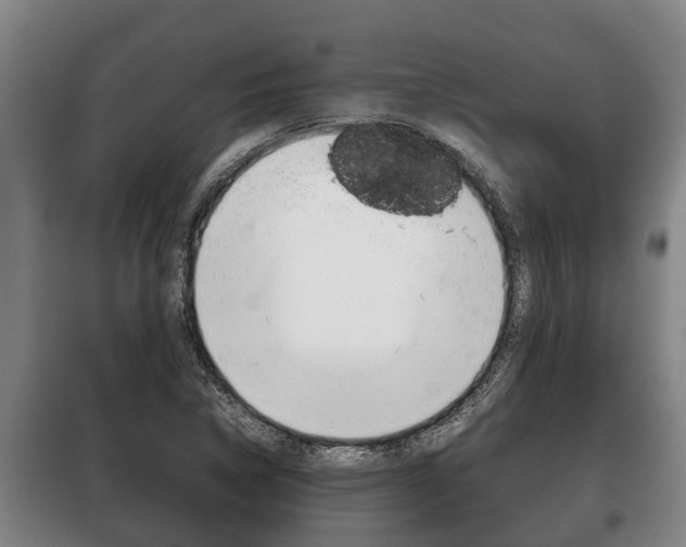X0000100421314200806060939