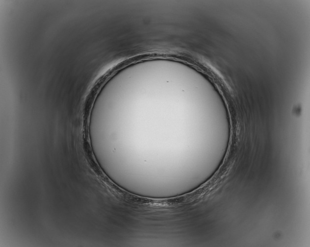 X0000100421315200806060939