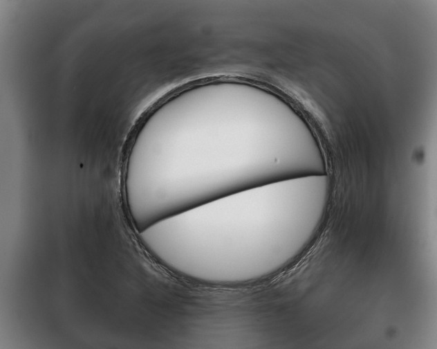 X0000100421316200806060939