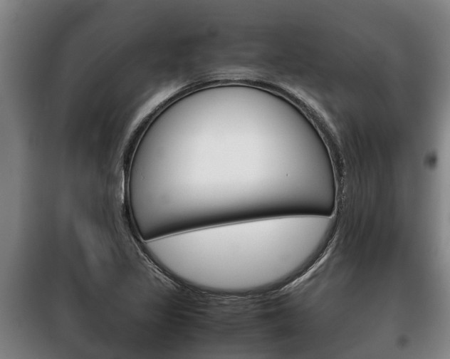 X0000100421317200806060939