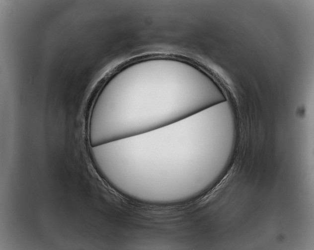 X0000100421318200806060939
