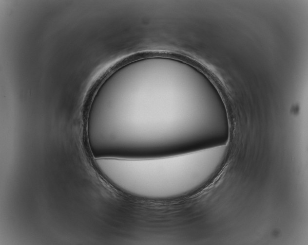 X0000100421319200806060939