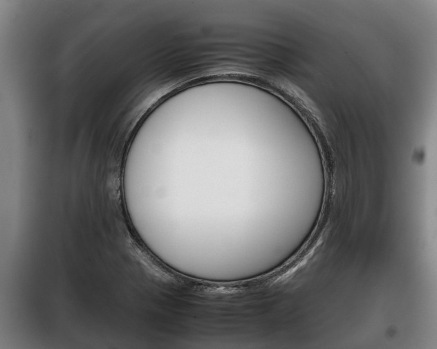 X0000100421321200806060939