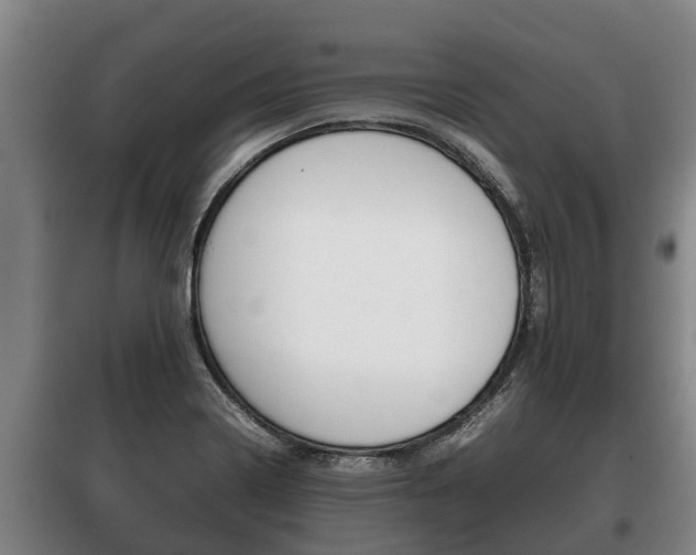 X0000100421322200806060939