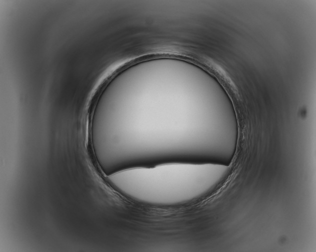 X0000100421323200806060939
