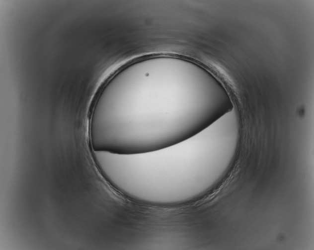 X0000100421324200806060939