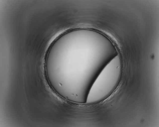 X0000100421325200806060939