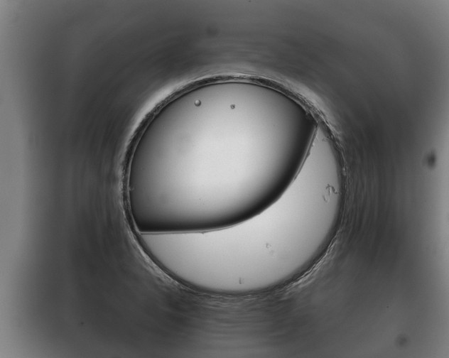 X0000100421326200806060939