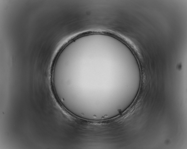 X0000100421327200806060939