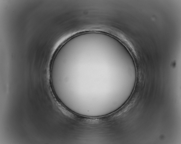 X0000100421328200806060939