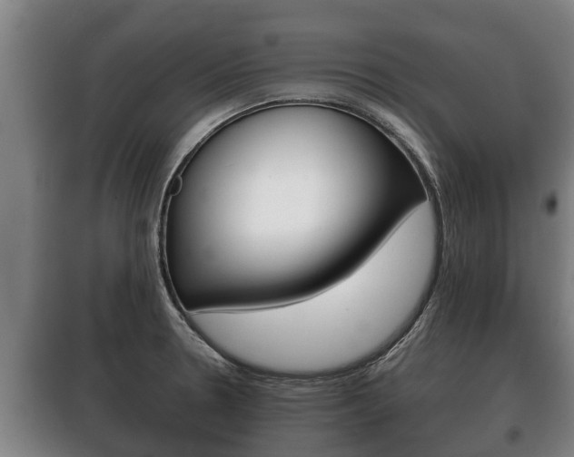 X0000100421330200806060939