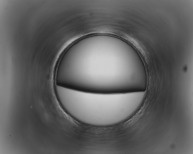 X0000100421331200806060939