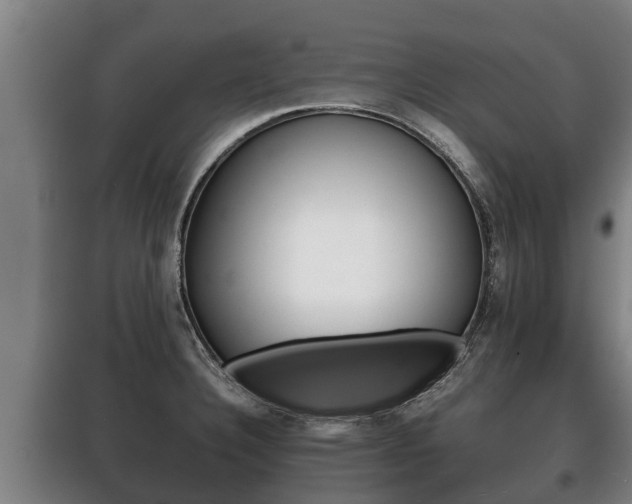 X0000100421332200806060939