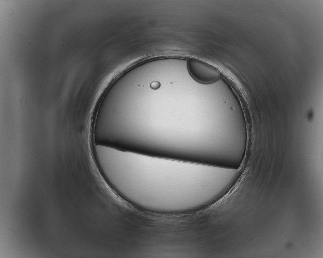 X0000100421333200806060939