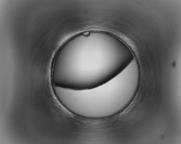 X0000100421334200806060939