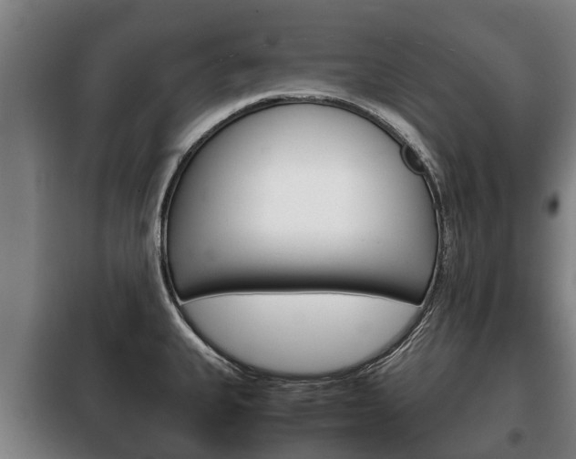 X0000100421335200806060939