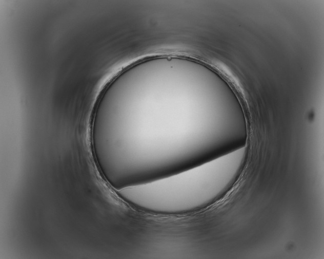 X0000100421336200806060939