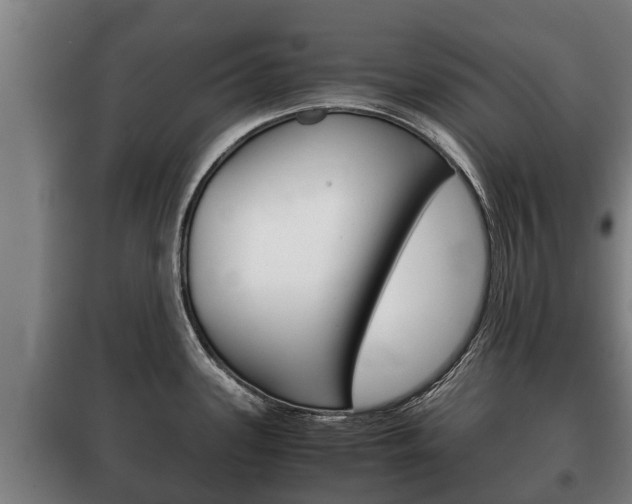 X0000100421339200806060939