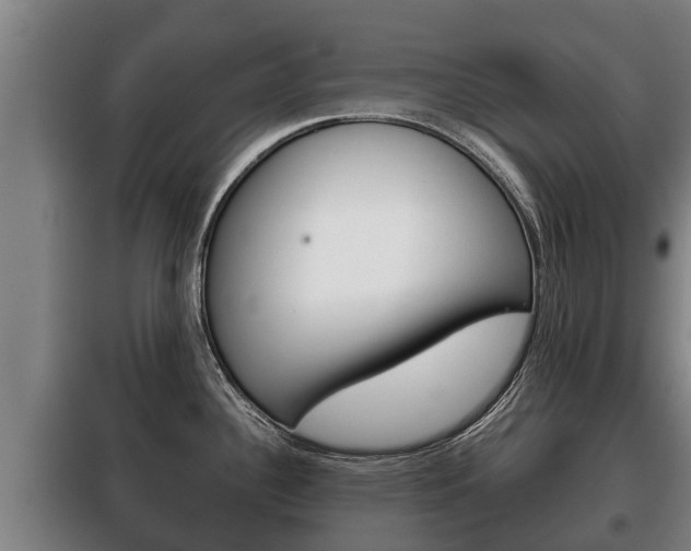 X0000100421340200806060939