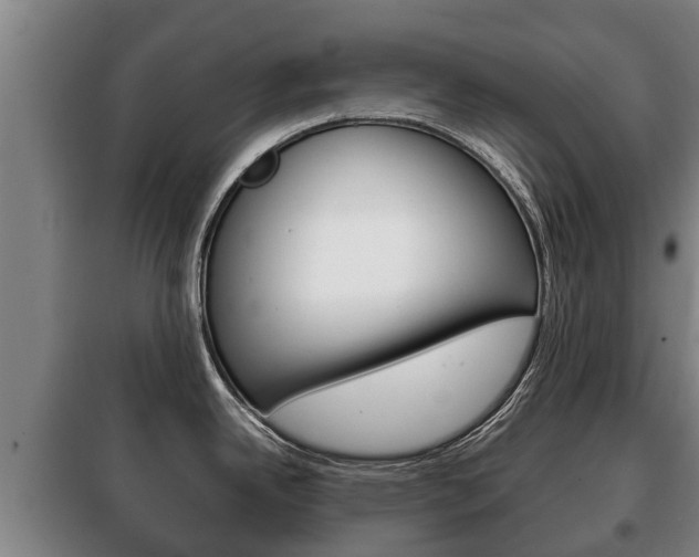 X0000100421342200806060939