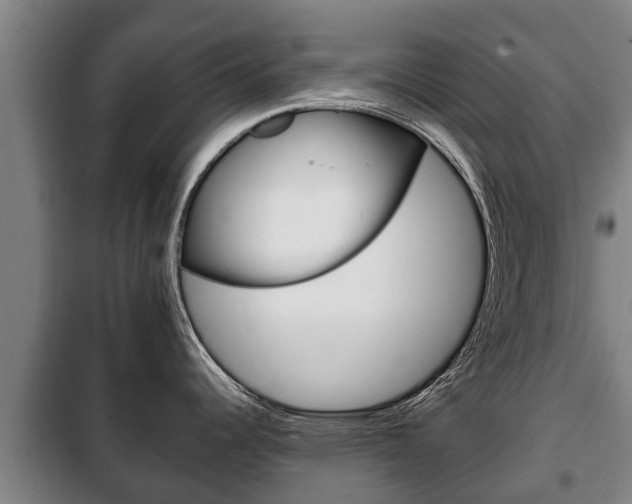 X0000100421344200806060939