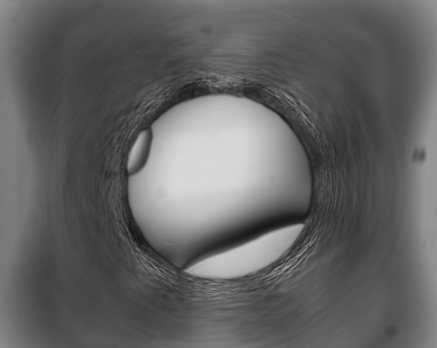 X0000100421345200806060939