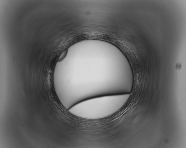 X0000100421346200806060939